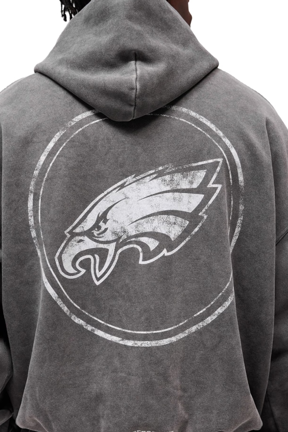 Eagles Crest Back Graphic